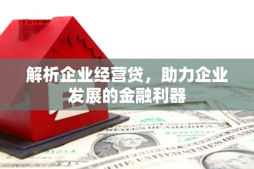 桃江解析企业经营贷，助力企业发展的金融利器