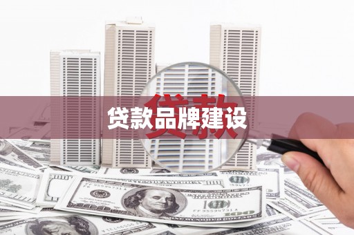 桃江贷款品牌建设
