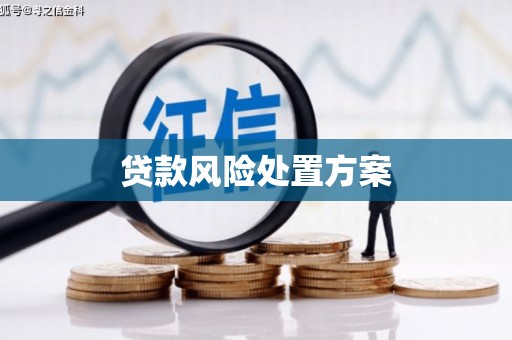 桃江贷款风险处置方案