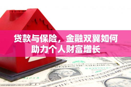 桃江贷款与保险，金融双翼如何助力个人财富增长