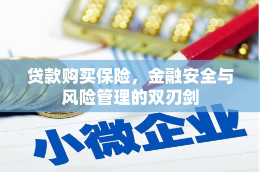 桃江贷款购买保险，金融安全与风险管理的双刃剑