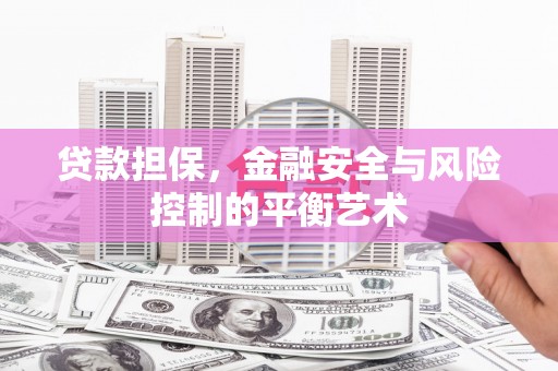 桃江贷款担保，金融安全与风险控制的平衡艺术