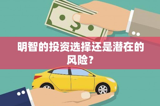 桃江明智的投资选择还是潜在的风险？