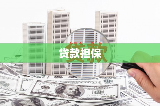 桃江贷款担保