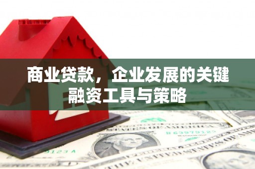 桃江商业贷款，企业发展的关键融资工具与策略