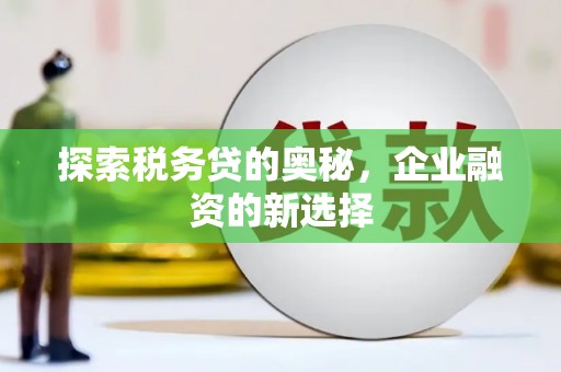 桃江探索税务贷的奥秘，企业融资的新选择