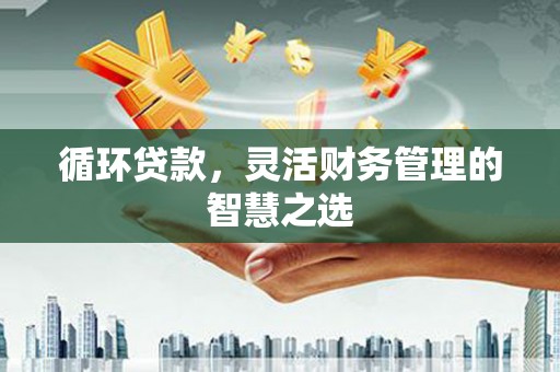 桃江循环贷款，灵活财务管理的智慧之选