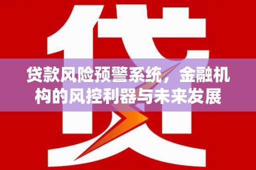 桃江贷款风险预警系统，金融机构的风控利器与未来发展