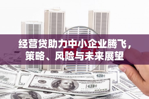 桃江经营贷助力中小企业腾飞，策略、风险与未来展望