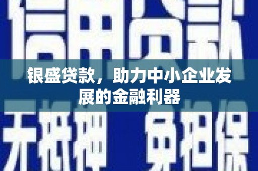 桃江银盛贷款，助力中小企业发展的金融利器