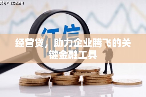 桃江经营贷，助力企业腾飞的关键金融工具