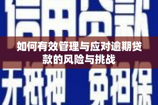 桃江如何有效管理与应对逾期贷款的风险与挑战