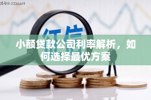 桃江小额贷款公司利率解析，如何选择最优方案