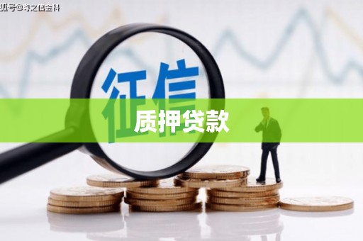 桃江质押贷款