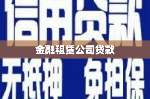 桃江金融租赁公司贷款