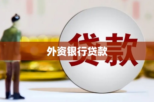 桃江外资银行贷款