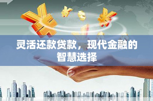 桃江灵活还款贷款，现代金融的智慧选择