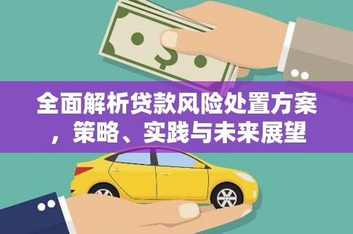 桃江全面解析贷款风险处置方案，策略、实践与未来展望