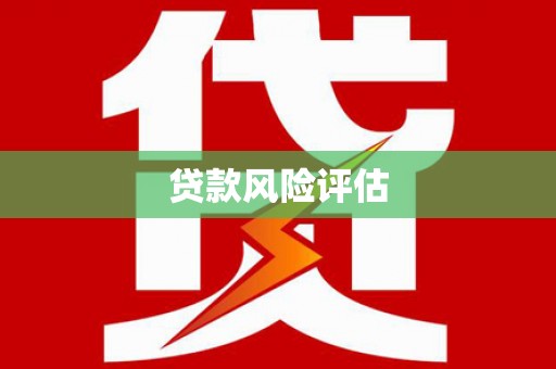 桃江贷款风险评估