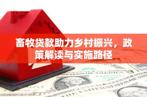 桃江畜牧贷款助力乡村振兴，政策解读与实施路径