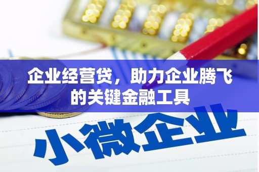 桃江企业经营贷，助力企业腾飞的关键金融工具