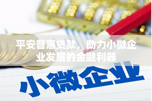 桃江平安普惠贷款，助力小微企业发展的金融利器