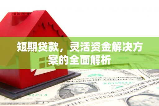 桃江短期贷款，灵活资金解决方案的全面解析
