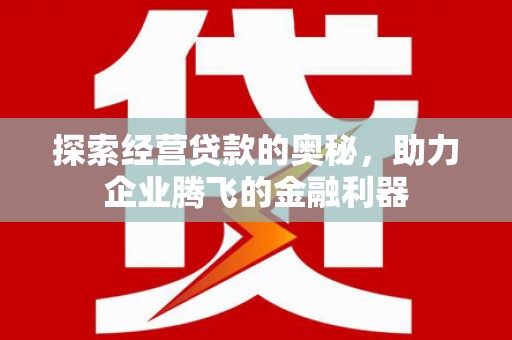 桃江探索经营贷款的奥秘，助力企业腾飞的金融利器