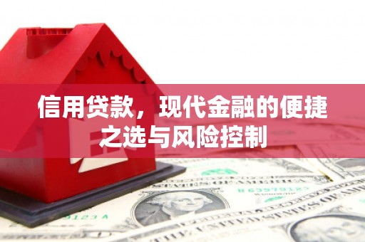 桃江信用贷款，现代金融的便捷之选与风险控制