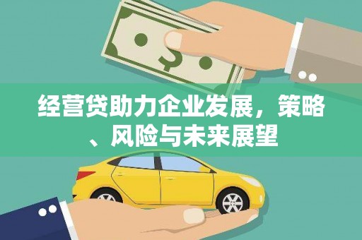 桃江经营贷助力企业发展，策略、风险与未来展望
