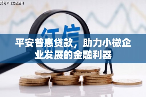 桃江平安普惠贷款，助力小微企业发展的金融利器