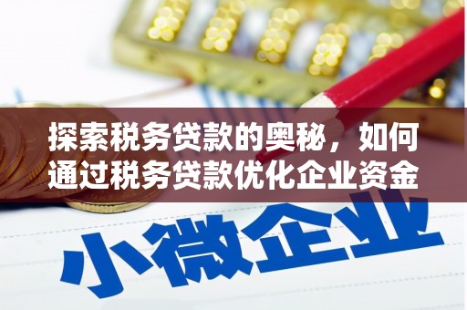 桃江探索税务贷款的奥秘，如何通过税务贷款优化企业资金流