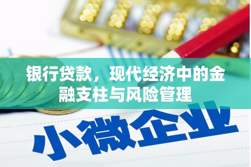 桃江银行贷款，现代经济中的金融支柱与风险管理