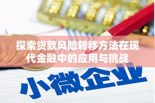 桃江探索贷款风险转移方法在现代金融中的应用与挑战