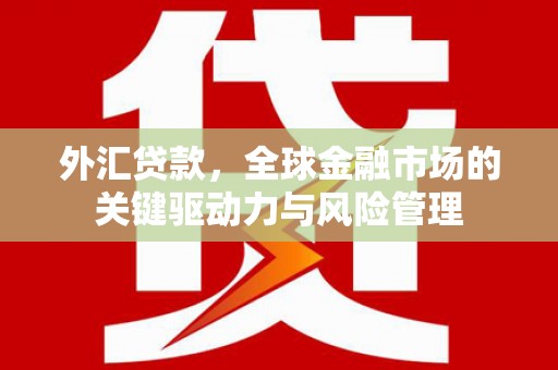 桃江外汇贷款，全球金融市场的关键驱动力与风险管理
