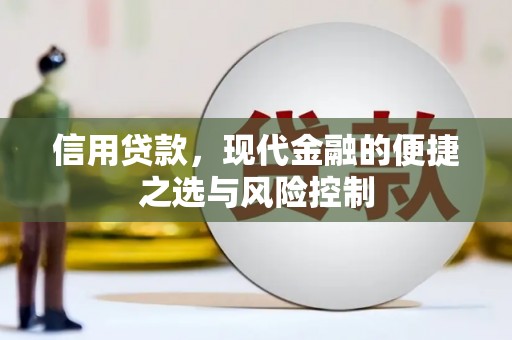 桃江信用贷款，现代金融的便捷之选与风险控制