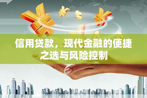 桃江信用贷款，现代金融的便捷之选与风险控制