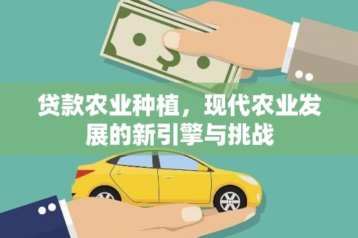 桃江贷款农业种植，现代农业发展的新引擎与挑战