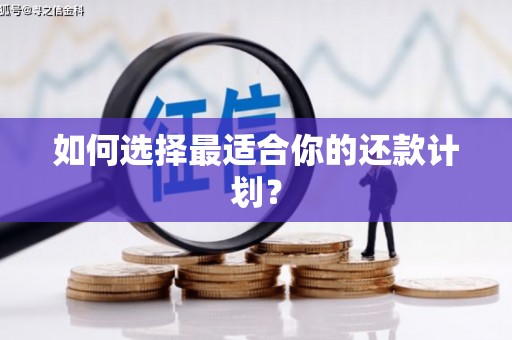 桃江如何选择最适合你的还款计划？