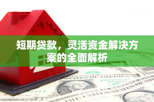 桃江短期贷款，灵活资金解决方案的全面解析