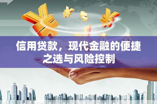 桃江信用贷款，现代金融的便捷之选与风险控制