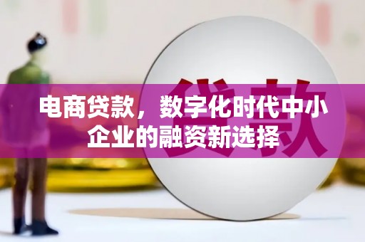 桃江电商贷款，数字化时代中小企业的融资新选择