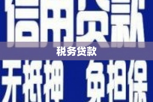 桃江税务贷款