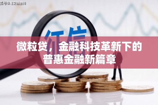 桃江微粒贷，金融科技革新下的普惠金融新篇章
