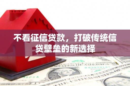 桃江不看征信贷款，打破传统信贷壁垒的新选择