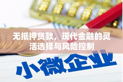 桃江无抵押贷款，现代金融的灵活选择与风险控制