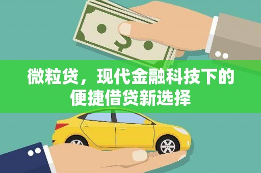 桃江微粒贷，现代金融科技下的便捷借贷新选择