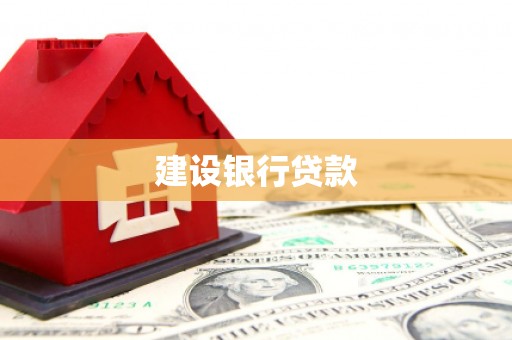 桃江建设银行贷款