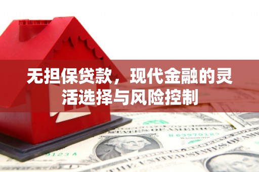 桃江无担保贷款，现代金融的灵活选择与风险控制