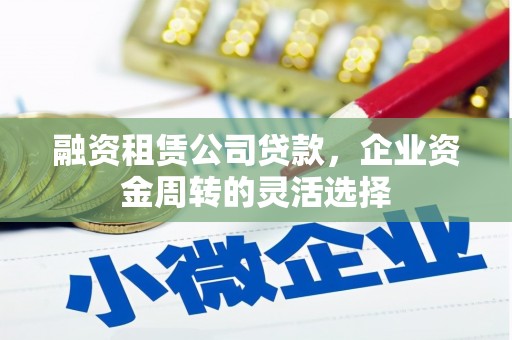 桃江融资租赁公司贷款，企业资金周转的灵活选择